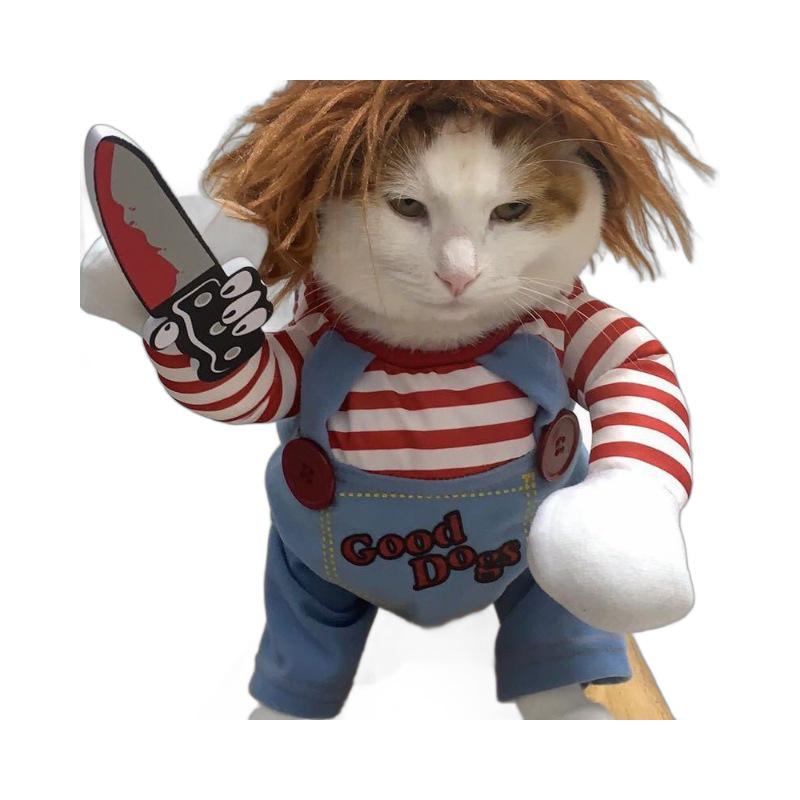 Halloween Klein- & Mittelgroßes Haustierkostüm - Hund & Katze Verwandlungskostüm