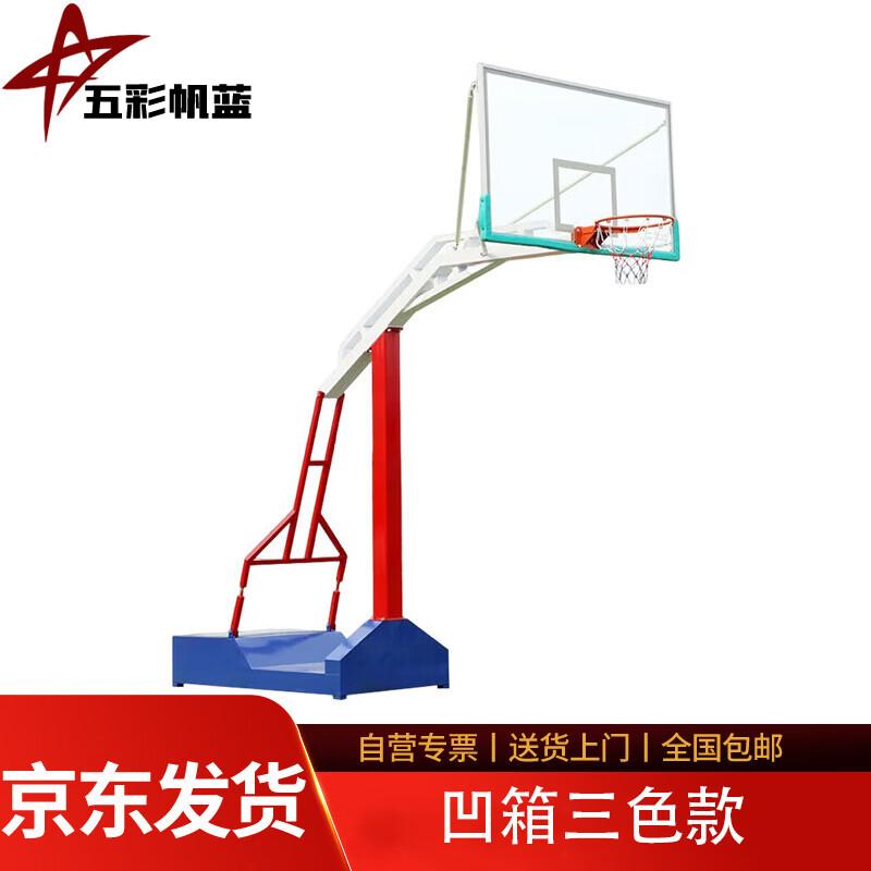 Adult Competition Basketball Hoop