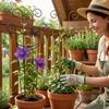 Thickened Plant Climbing Trellis Butterfly Shaped Vine Climbing Rack  Potted Plants