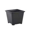 Fioriera Quadrata Vasi Spessi Serra per Piante Contenitore Riutilizzabile Piantine Giardino Bonsai Custodia Ornamenti da Scrivania