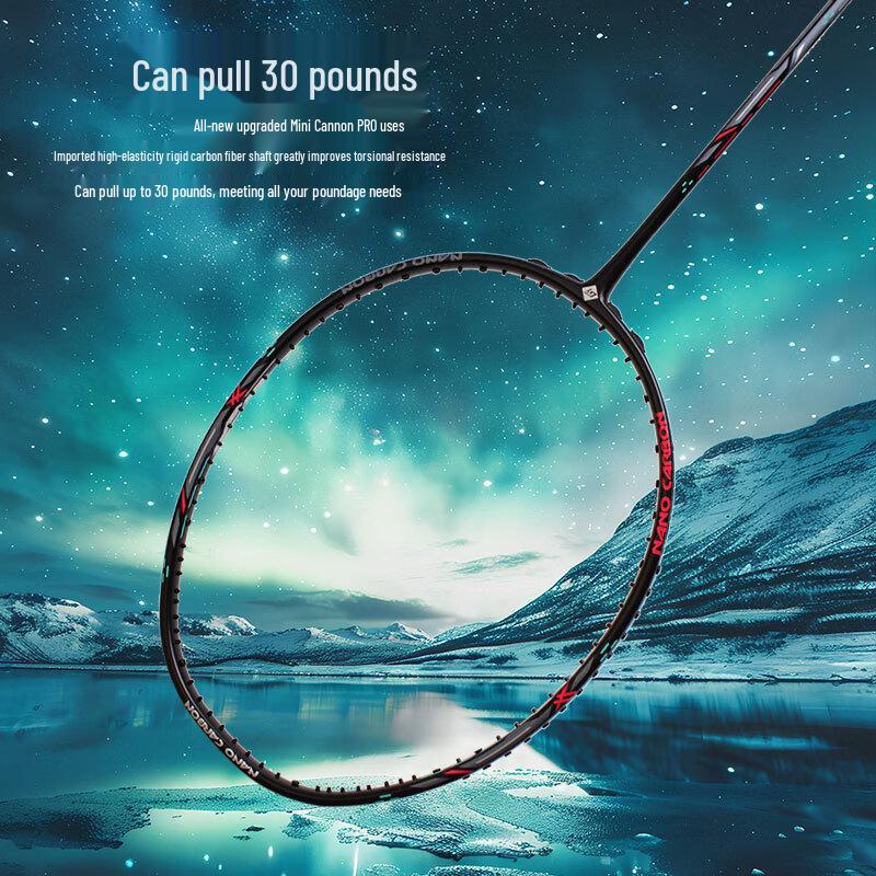 Datang Yu Lightweight Full Carbon Badminton Racket