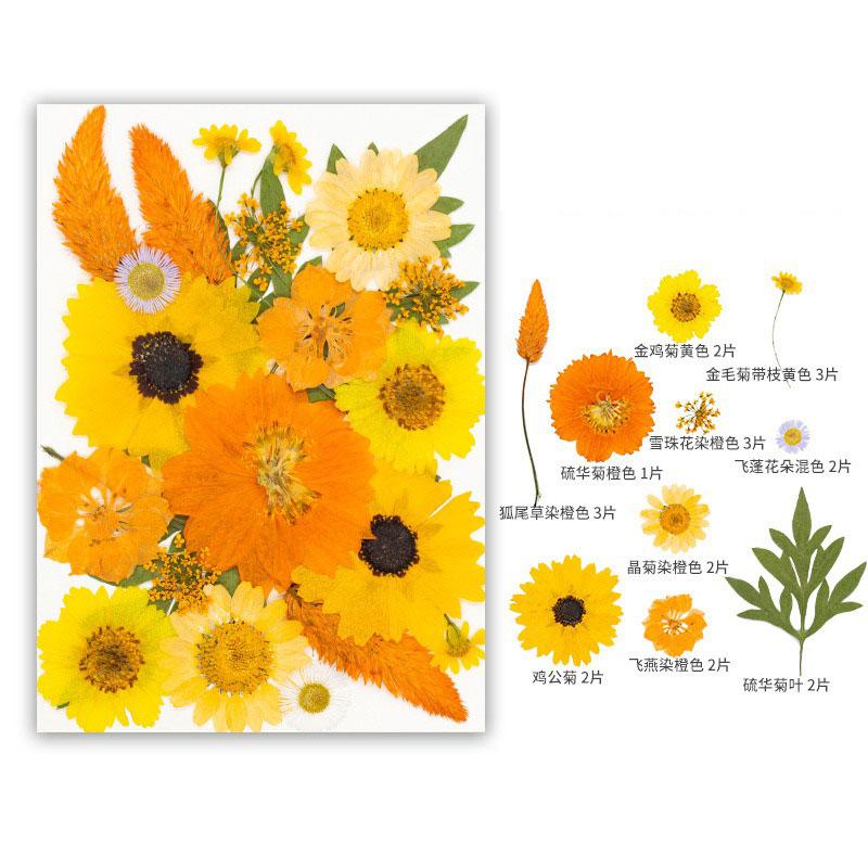 

22-25PCS Set Dried Flower Kit for Resin Crafts Natural Real Pressed Flower Leaves Jewelry Making Phone Cases & Nail Art Decor
