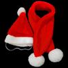 Red Plush Pet Christmas Hat and Scarf Set