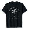 Souvenir De Palmera De La Isla Hawaiana De La Playa De Waiki