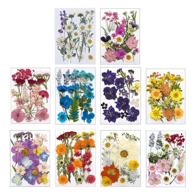Sušené lisované květiny pro pryskyřičné formy Přírodní sušené květiny a listy pro umělecké a řemeslné potřeby Scrapbooking Výroba šperků 6XDE