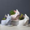 Cartoon Animal Ceramic Flower Pot Simple And Cute Succulent Flower Pot Creative Home Gardening Plant Pot