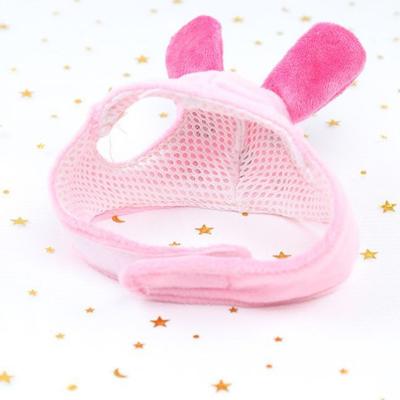 Ropa y calzado – Gorras para perros