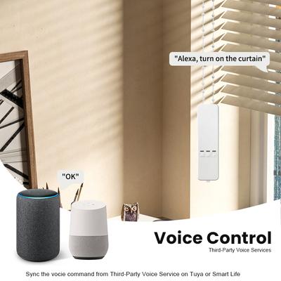 WiFi Tuya Smart Electric Blind Driver Motorised Curtain Chain Roller Timer With RF Remoter Alexa Google Assistant Voice Control