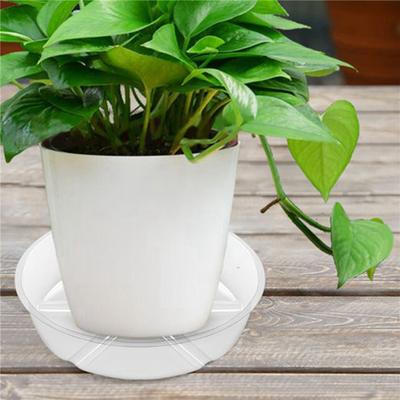 12 Pack Clear Plant Saucer 12 Inch Plastic Plant Saucers Durable Thicker Plant Tray Flower Pot For Indoor Outdoor Garden