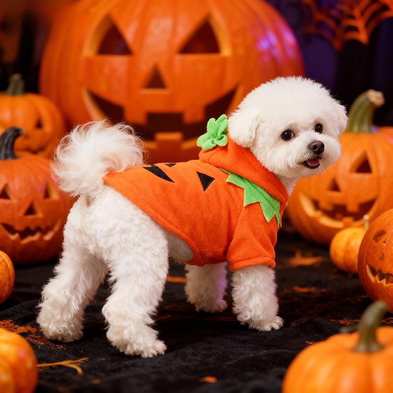 Halloween Pumpkin Dog Costume - 2021 Bestseller Autumn/Winter Casual Wear