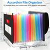 Rainbow 12-24-37Pocket Expanding File - A4 Accordion Folder, Portable Document/Bill/Receipt Holder for Organizing
