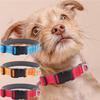 Pet Collars Diving Material Adjustable Anti Strangulation Stainless Steel A Buckle Suitable For Small And Medium-Sized Pets