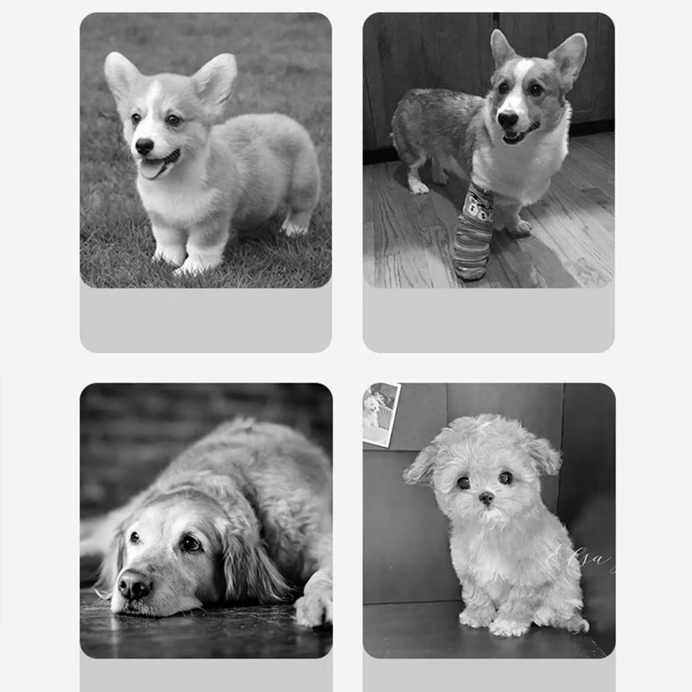 3/4 Step Pet Stair Memory Foam Sponge Dog Sofa Steps New Pet Ramp Stairs  Pet Supplies