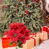 6Pcs Artificial Poinsettia Christmas Flower, Poinsettia Bouquet Golden Stamen