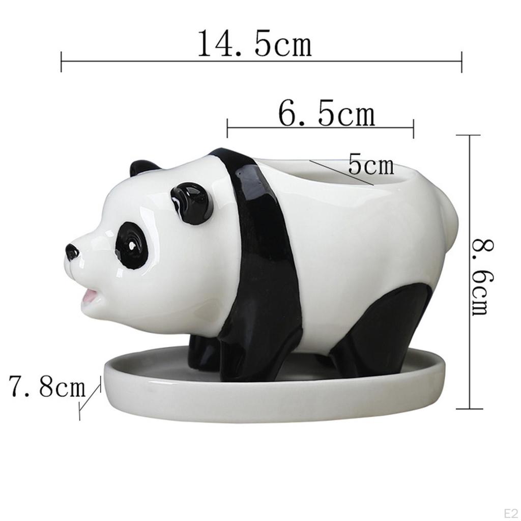 Ve Planters Panda Figurine Bunch Dining Garden Bedroom Pot
