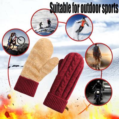 Thermal Knit Gloves for Winter Double-Layer Fleece Lined Windproof Mittens Thick Cold-Weather Gloves for Cycling Outdoor Activities