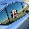 Car Body Sticker Funny Stickers Realistic Exquisite Pattern Simulation Pet Crack Design 3D Trim Effect Decorate Eye-catching Cute Window for