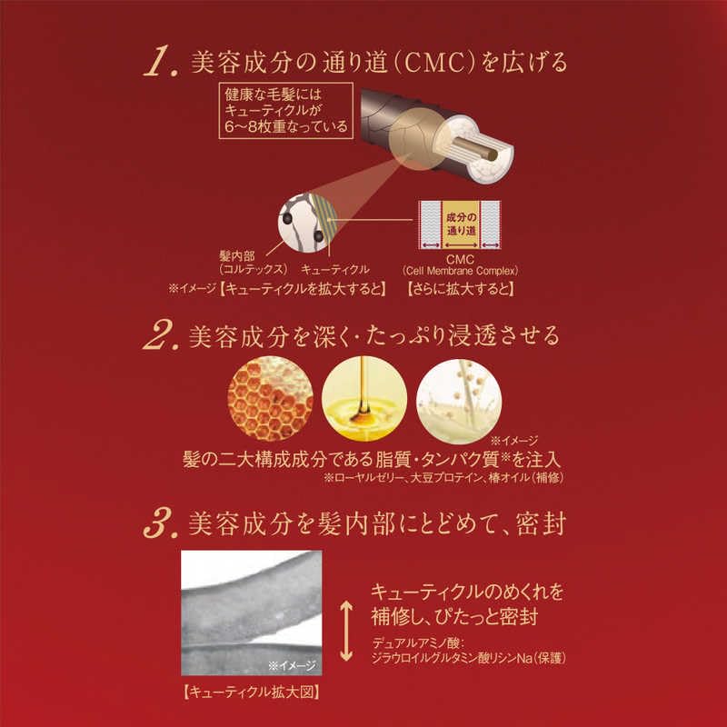 TSUBAKI Premium Moist & Repair Shampoo and Conditioner Set (600ml + 600ml Refill) [Large Capacity] Includes Original Tsubaki Thank You Card