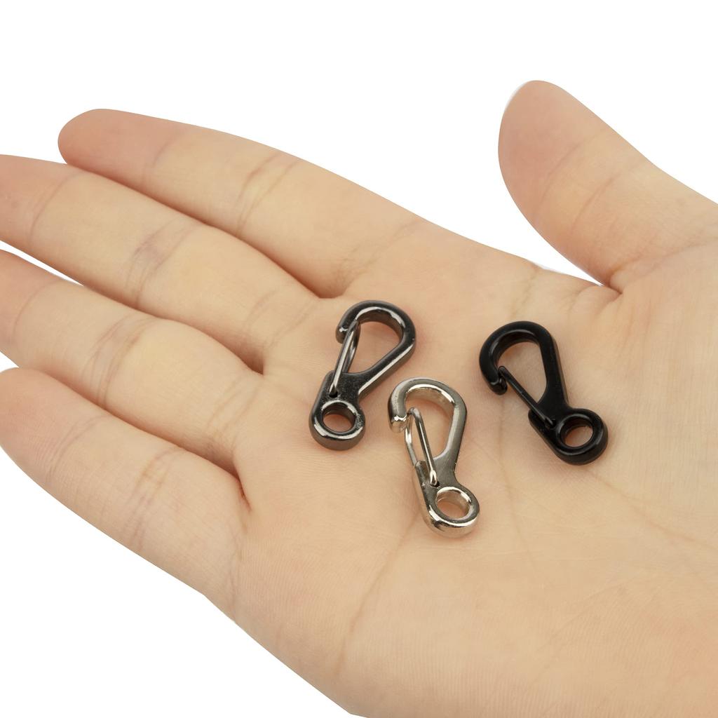 TEMLUM Carabiner, Small Mini Carabiner, Set of 10, Snap Hook,