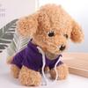Warm Ferret Hoodie With Drawstring Hamster Drawstring Hooded Sweatshirt  for Lizard/Squirrel