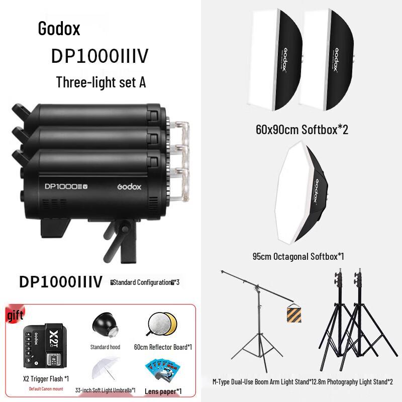 Godox DPIIIV-1000W Studio Flash Kit