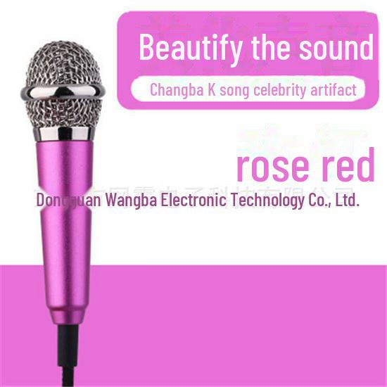 Mini Karaoke Headset Microphone for Singing