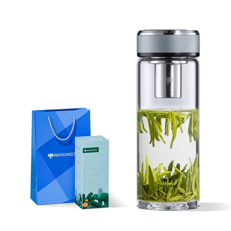 Borosilicate Glass Tea Infuser Bottle