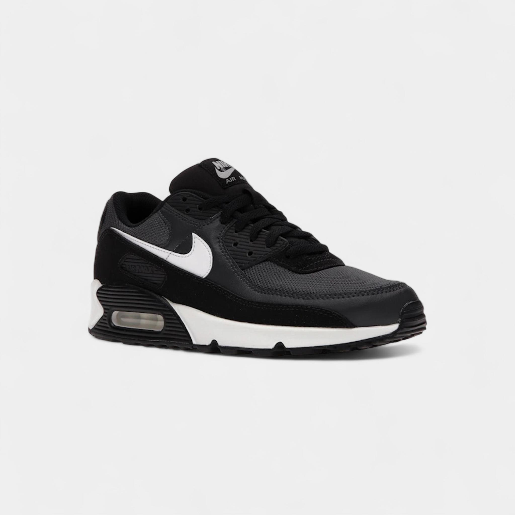 Nike Air Max 90 Iron Grey