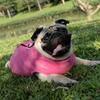 Fleece Dog Clothes For Small Medium Dogs Winter Warm Puppy Clothing French Bulldog Coat Pug Costume Poodle Jacket Chihuahua Vest
