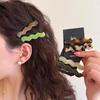 2pcs/set Acetate Hair Clips Wave Geometric Hairpin Colorful Printings Barrettes Elegant Sweet Cute Women Hair Accessories