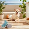 4 τεμ./σετ Ρυθμιζόμενα Διχτυωτά Παπούτσια Σκύλου που Αναπνέουν Ανακλαστικά Ρυθμιζόμενα Υποδήματα Σκύλου Λεπτή Μαλακή Σόλα Παπούτσια-Αθλητικά Παπούτσια Σκύλου Μικρά Σκυλιά