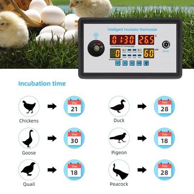 ZFX-W9002 12V/220V Eierbrüter-Controller mit Temperatur- und Feuchtigkeitssensor für Farmhühner, Enten, Gänse