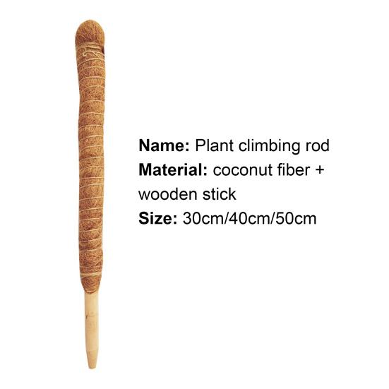 Plant Support Pole Stackable Durable Wooden Coir Moss Totem Pole for Indoor Plant