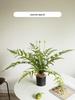 Artificial Green Plants for Indoor Decor – Potted Ornaments for Living Room or Coffee Table