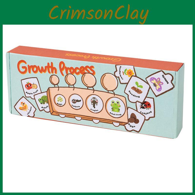 Growth Cycle Montessori Puzzle Wooden Educational Toy For Learning Preschool