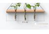 Elegant Wall Hanging Hydroponic Vase with Hemp Rope for Plants and Pothos