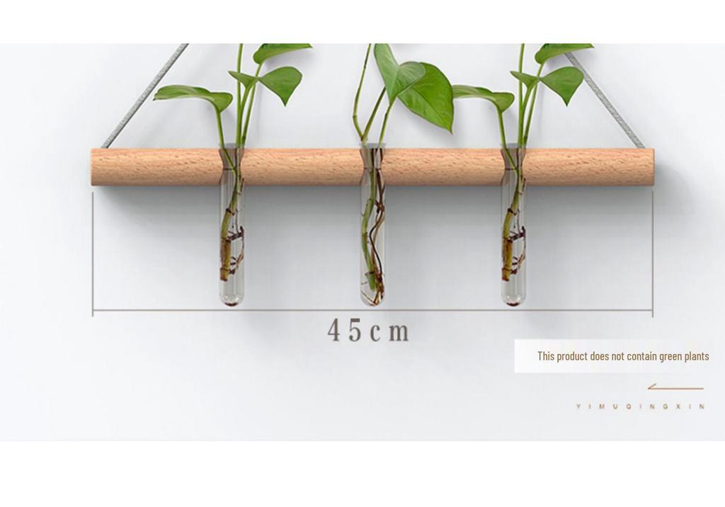 Elegant Wall Hanging Hydroponic Vase with Hemp Rope for Plants and Pothos