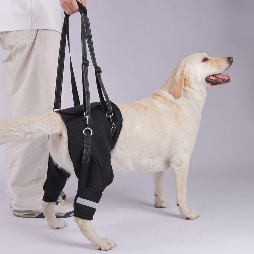 Legs Hip Support Dog Lift Harness Adjustable Sturdy Handle Dog Rear Leg Support Soft Padded Black Walking Support Straps