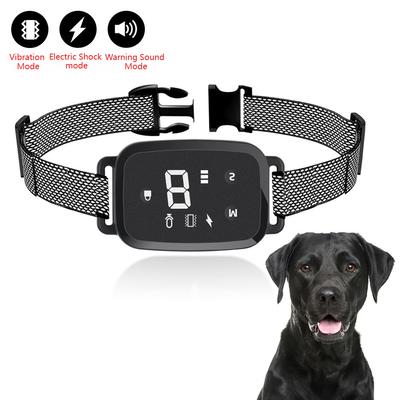 Perros – Collares y correas