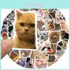 Adesivos de Gato de Desenho Animado Adoráveis Perfeitos Para Scrapbooking Viagens E Personalizar Seus Pertences