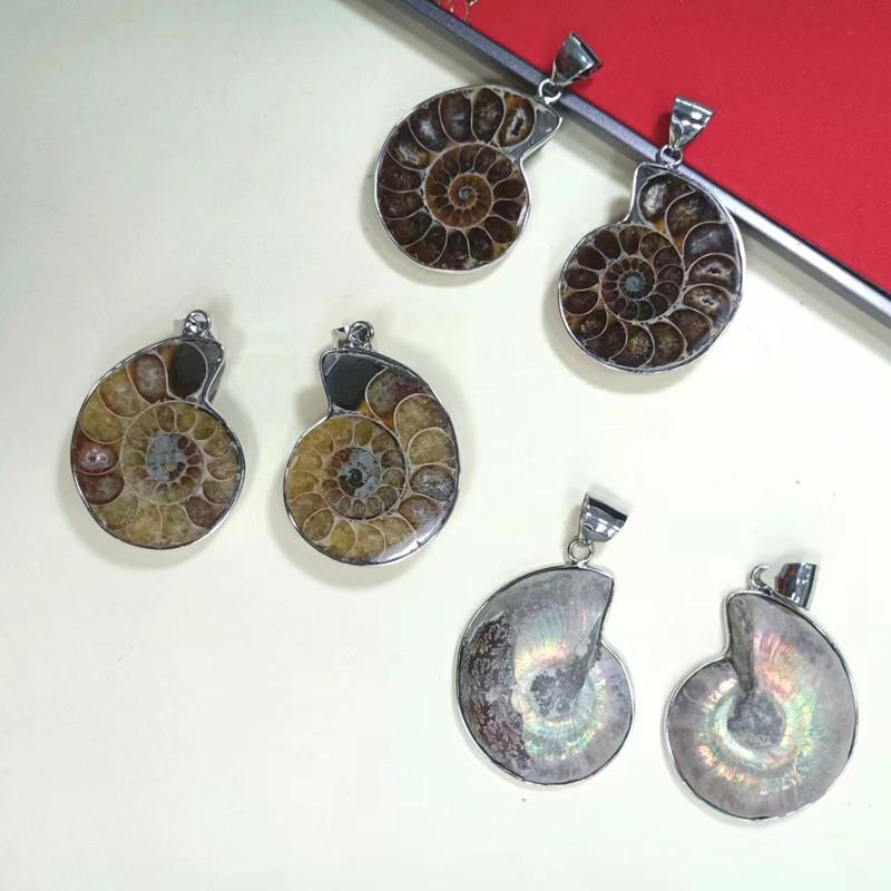 Shell Pendant With Polished Shell Beads For Style Jewelry
