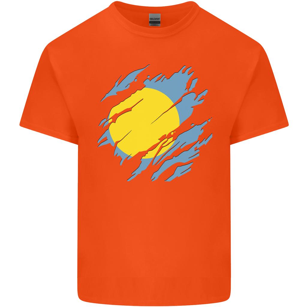 Torn Palau Flag Palauan Day Football Unisexs Light Cotton TShirt