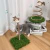 Sisal Tau Kreatives Katzenkratzbrett Bissfest Spatz Interaktive Katze Selbstkomisch Langlebige Katzenfeder Haustierbedarf