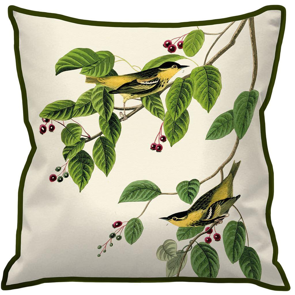 John James Audubon Carbonated Warbler Cushion