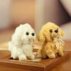 Plush Teddy Dog Keychain With Pp Cotton Filling For Couples And Travel Accessories