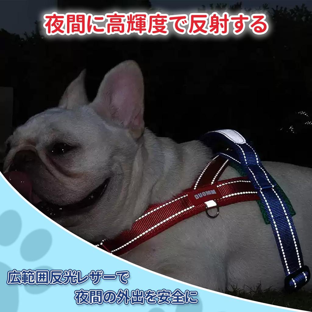 Charming Club Dog and Collar for Extra Small Dogs Walking Gentle on the Size S Suitable for Small and Cats with Reflective Strips Harness, Leash, -