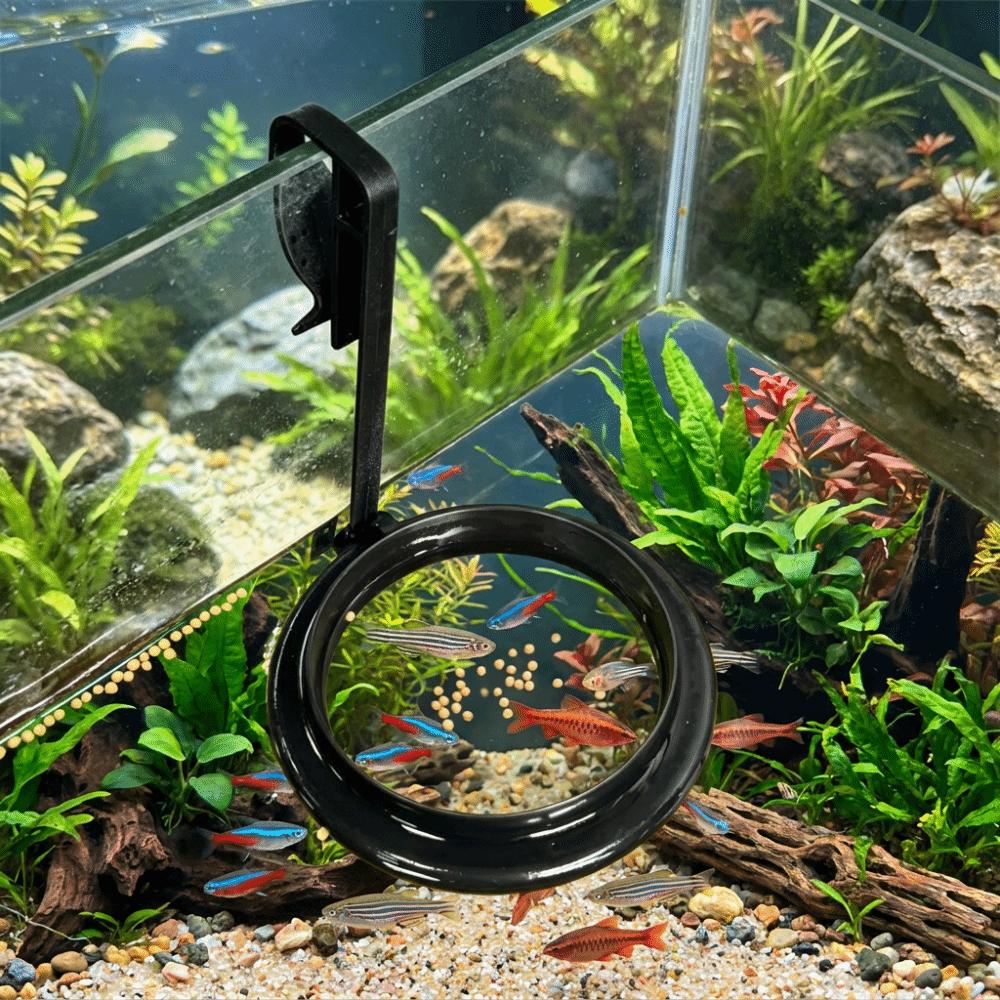 Anti Drifting Fish Feeding Ring Hanging Floating Food Tray Fish Tank Station Aquarium Decoration