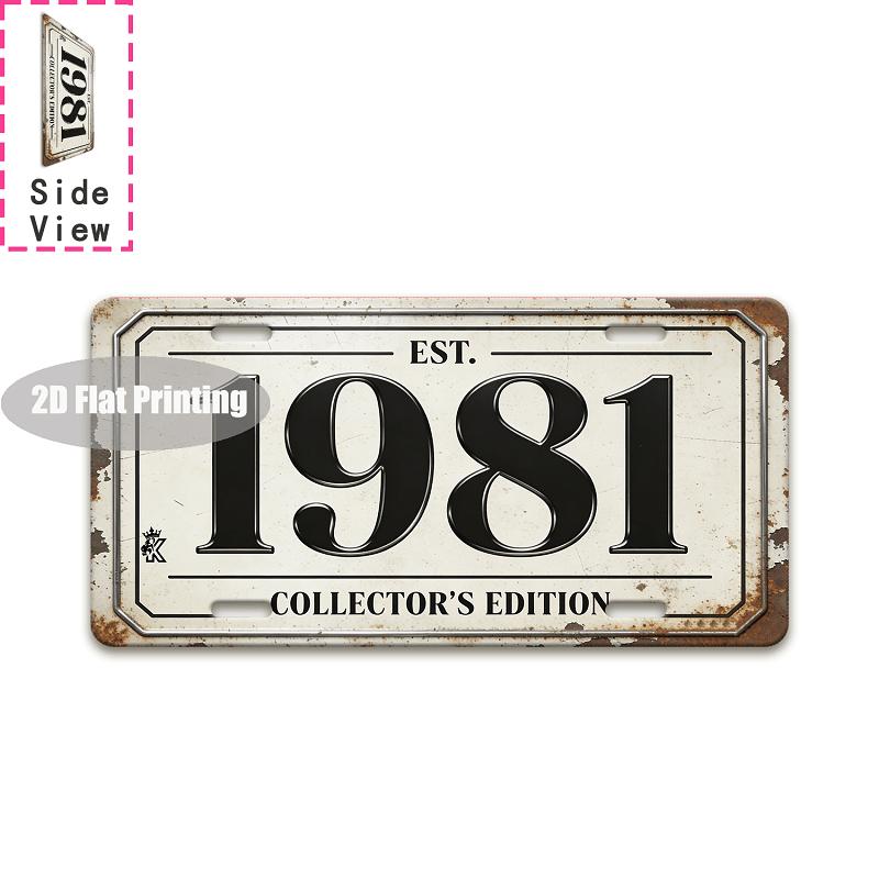 Tin Sign - Vintage Durable Metal Plaque Wall Decor, Home Office Bar Man Cave Sunroom Garden City Coordinate Birth Year License