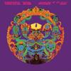 Vinyl Album - Rhino Records - Anthem of the Sun - Psychedelic - 1 Record - 220g