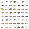 55 Waterproof Cartoon Fish Stickers for Journals, Water Bottles, and Laptops